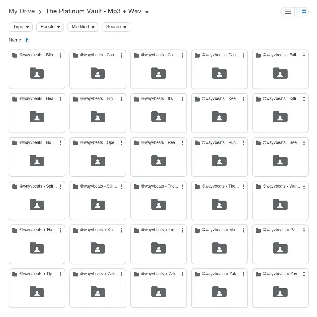 The Platinum Vault delivered in your drive: 30 beat folders, MP3 + WAV in every one